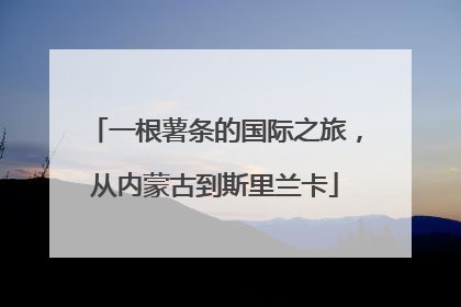 一根薯条的国际之旅，从内蒙古到斯里兰卡