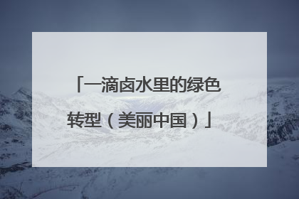 一滴卤水里的绿色转型（美丽中国）