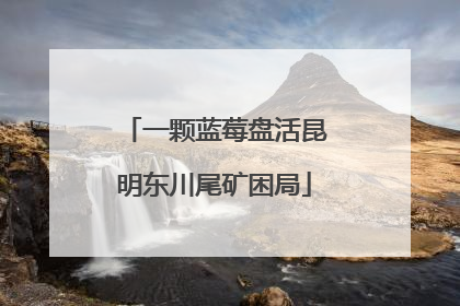 一颗蓝莓盘活昆明东川尾矿困局