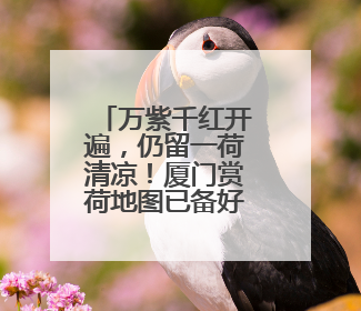 万紫千红开遍，仍留一荷清凉！厦门赏荷地图已备好，还有专家带您区分荷与莲→