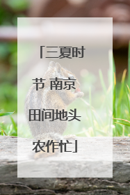 三夏时节 南京田间地头农作忙