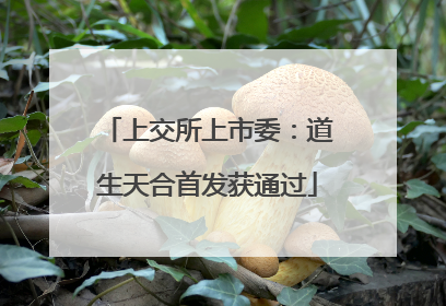 上交所上市委：道生天合首发获通过