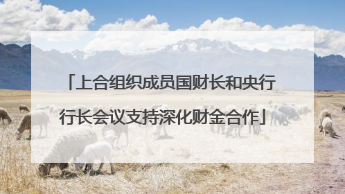 上合组织成员国财长和央行行长会议支持深化财金合作