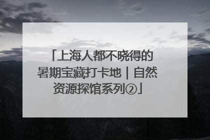 上海人都不晓得的 暑期宝藏打卡地｜自然资源探馆系列②