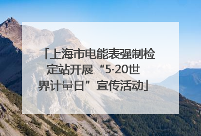上海市电能表强制检定站开展“5·20世界计量日”宣传活动