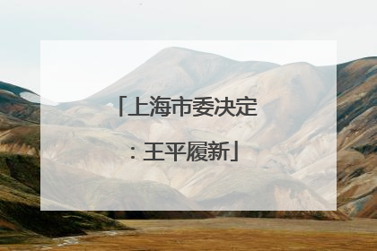 上海市委决定：王平履新