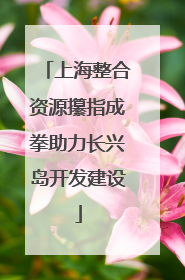 上海整合资源攥指成拳助力长兴岛开发建设