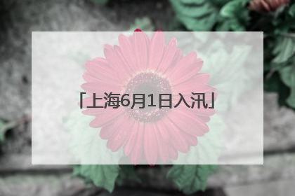 上海6月1日入汛