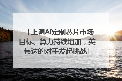 上调AI定制芯片市场目标、算力持续增加，英伟达的对手发起挑战