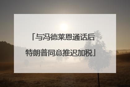 与冯德莱恩通话后 特朗普同意推迟加税