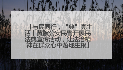 与民同行，“典”亮生活丨黄陂公安民警开展民法典宣传活动，让法治精神在群众心中落地生根