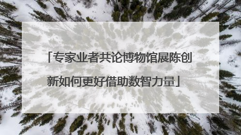 专家业者共论博物馆展陈创新如何更好借助数智力量