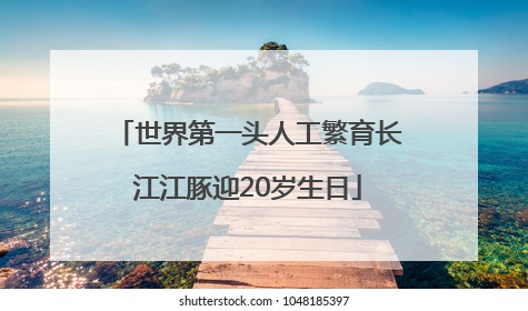 世界第一头人工繁育长江江豚迎20岁生日