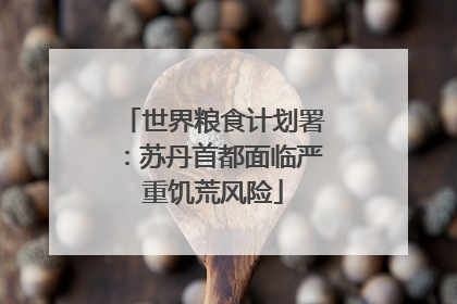 世界粮食计划署：苏丹首都面临严重饥荒风险