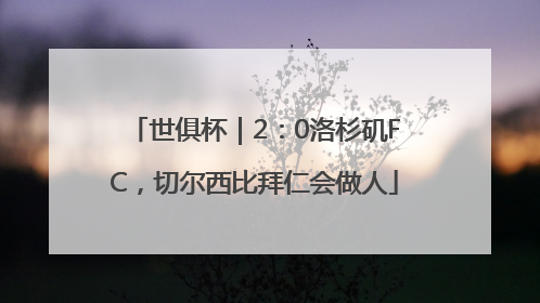 世俱杯｜2：0洛杉矶FC，切尔西比拜仁会做人