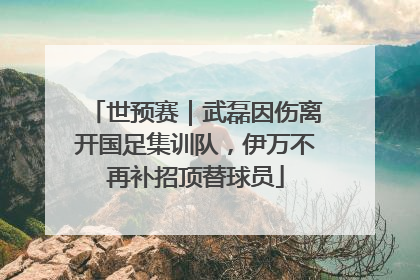 世预赛｜武磊因伤离开国足集训队，伊万不再补招顶替球员