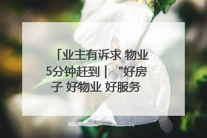 业主有诉求 物业5分钟赶到｜“好房子 好物业 好服务”系列报道④