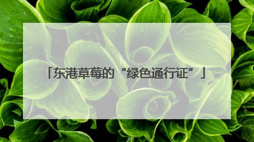 东港草莓的“绿色通行证”
