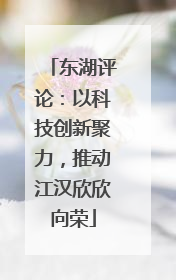 东湖评论：以科技创新聚力，推动江汉欣欣向荣