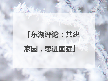 东湖评论：共建家园，思进图强