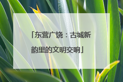 东营广饶：古城新韵里的文明交响