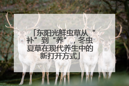 东阳光鲜虫草从“补”到“养”，冬虫夏草在现代养生中的新打开方式