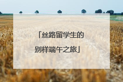 丝路留学生的别样端午之旅
