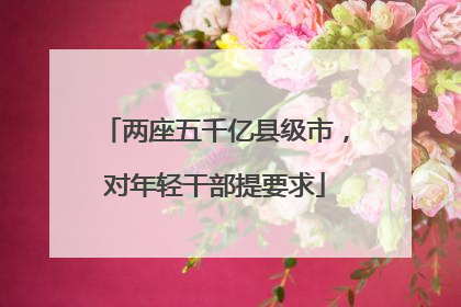 两座五千亿县级市，对年轻干部提要求