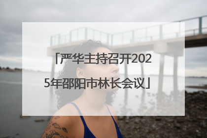 严华主持召开2025年邵阳市林长会议