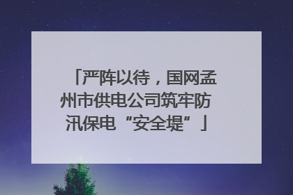 严阵以待，国网孟州市供电公司筑牢防汛保电“安全堤”