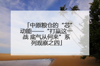 中原粮仓的“芯”动能——“打赢这一战 底气从何来”系列观察之四
