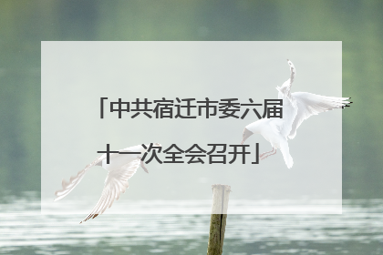 中共宿迁市委六届十一次全会召开