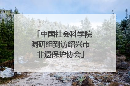 中国社会科学院调研组到访绍兴市非遗保护协会