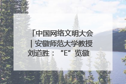 中国网络文明大会｜安徽师范大学教授刘道胜：“E”览徽风，构筑中华民族共有精神家园