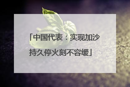 中国代表：实现加沙持久停火刻不容缓