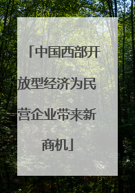 中国西部开放型经济为民营企业带来新商机