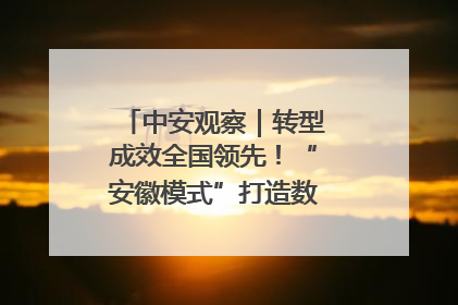 中安观察｜转型成效全国领先！“安徽模式”打造数字化转型新标杆