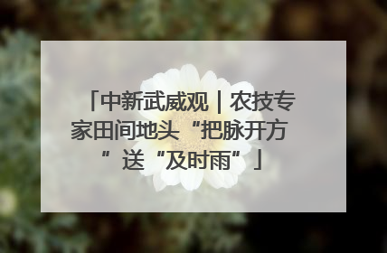 中新武威观｜农技专家田间地头“把脉开方”送“及时雨”