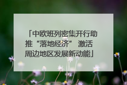 中欧班列密集开行助推“落地经济” 激活周边地区发展新动能