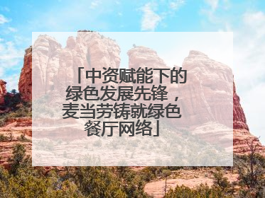 中资赋能下的绿色发展先锋，麦当劳铸就绿色餐厅网络