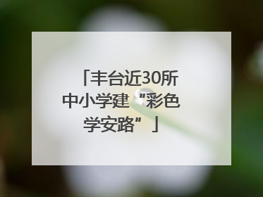 丰台近30所中小学建“彩色学安路”