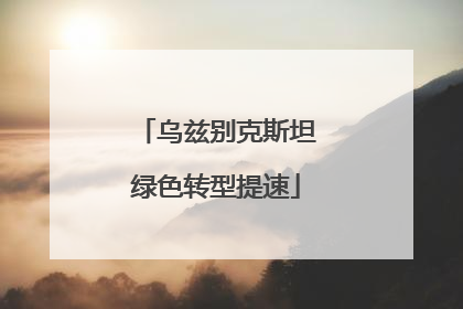 乌兹别克斯坦绿色转型提速