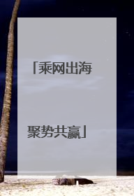 乘网出海 聚势共赢