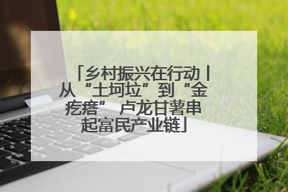 乡村振兴在行动丨从“土坷垃”到“金疙瘩” 卢龙甘薯串起富民产业链