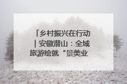 乡村振兴在行动｜安徽潜山：全域旅游绘就“景美业兴民富”新画卷