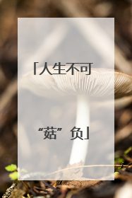人生不可“菇”负