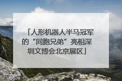 人形机器人半马冠军的“同胞兄弟”亮相深圳文博会北京展区