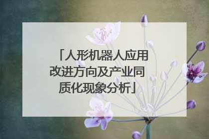 人形机器人应用改进方向及产业同质化现象分析