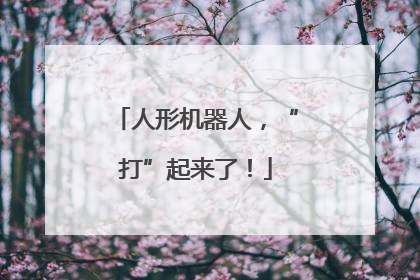 人形机器人，“打”起来了！