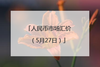 人民币市场汇价（5月27日）
